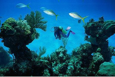 《古惑疯狂三部曲》销量现已超过2000万部